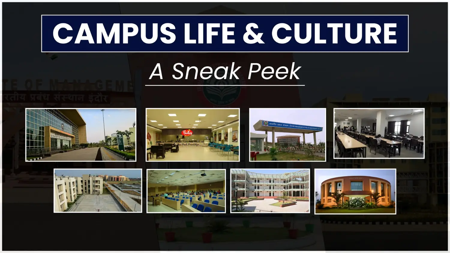 Campus Life & Culture: A Sneak Peek
